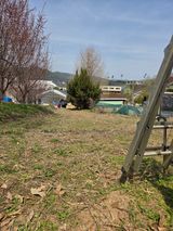 김윤회님의 작성글 사진