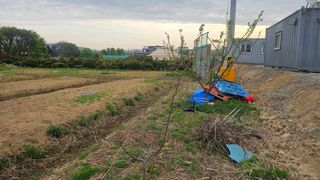 장정규님의 복숭아 · 영농일지 작성글 사진