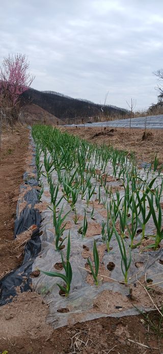 정연섭님의 작성글 사진