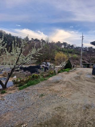 백운농원 님의 기타작물 · 영농일지 작성글 사진