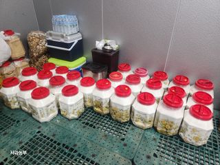 강대욱님의 사과 · 영농일지 작성글 사진