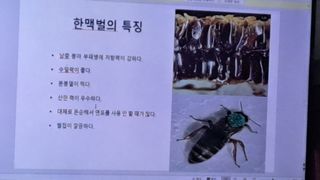 조연만님의 콩 · 영농일지 작성글 사진