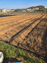 김연숙님의 작성글 사진