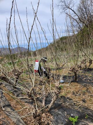 최군환님의 기타작물 · 영농일지 작성글 사진