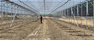 김명숙님의 기타작물 · 영농일지 작성글 사진