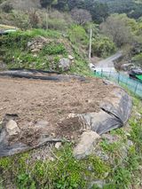 진전님의 작성글 사진