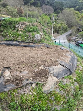 진전님의 고추 · 영농일지 작성글 사진