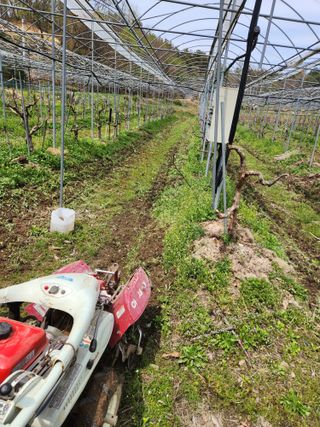 최상길 님의 기타작물 · 영농일지 작성글 사진