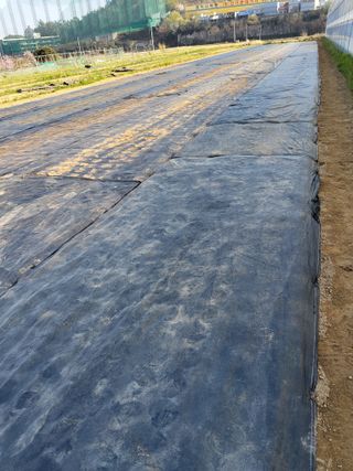 팜모닝회원 김순달 님의 기타작물 · 영농일지 작성글 사진