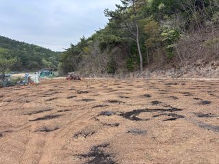 서수원님의 고구마 · 영농일지 작성글 사진