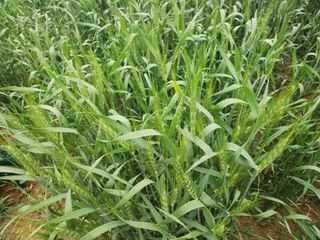 노복우님의 작성글 사진