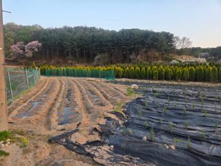 장두학님의 기타작물 · 영농일지 작성글 사진