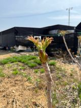 베리의정원님의 작성글 사진