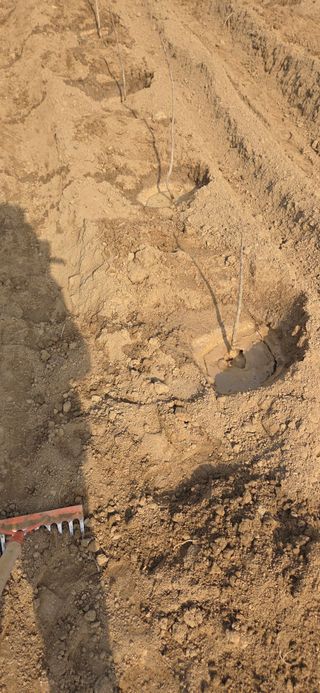 이해창님의 기타작물 · 영농일지 작성글 사진