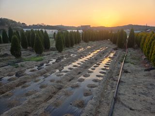 장두학님의 기타작물 · 영농일지 작성글 사진