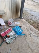 팜모닝 기타작물·영농일지 게시글 이미지