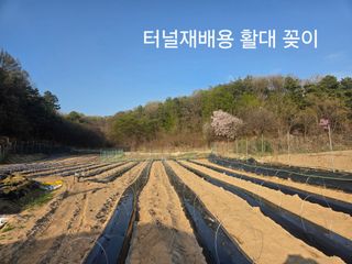 장두학님의 기타작물 · 영농일지 작성글 사진