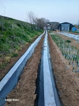 바위돌 심재성님의 작성글 사진