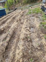 이상욱님의 작성글 사진