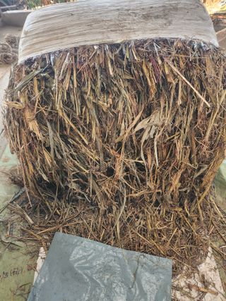 제2의인생출발님의 기타작물 · 영농일지 작성글 사진