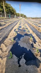 최언봉님의 작성글 사진