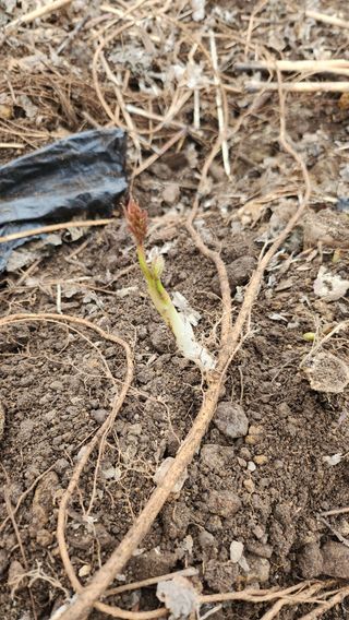 장흥 모경화 님의 작성글 사진