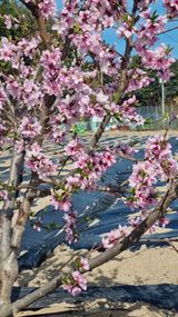 최언봉님의 작성글 사진