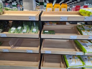 도심농부님의 기타작물 · 영농일지 작성글 사진