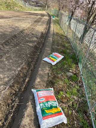 이익수님의 벼 · 영농일지 작성글 사진