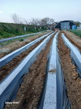 바위돌 심재성님의 작성글 사진