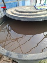 건강한먹거리님의 작성글 사진