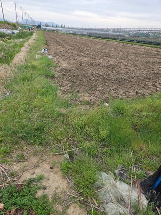 정영석님의 벼 · 영농일지 작성글 사진