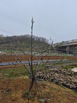 써니님의 작성글 사진