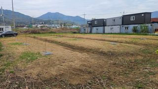 장정규님의 복숭아 · 영농일지 작성글 사진