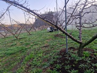 백운농원 님의 기타작물 · 영농일지 작성글 사진