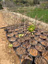 조민서님의 작성글 사진