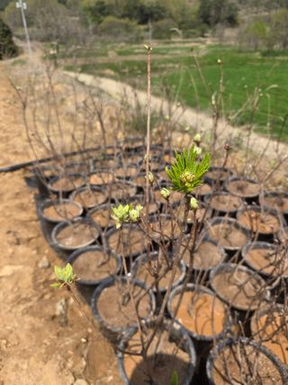 조민서님의 기타작물 · 영농일지 작성글 사진