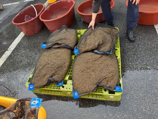 오작교농장님의 벼 · 영농일지 작성글 사진