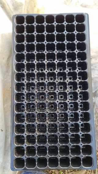 김지철님의 기타작물 · 영농일지 작성글 사진