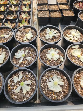 신상섭님의 기타작물 · 영농일지 작성글 사진