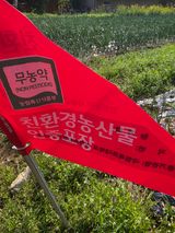 팜모닝 기타작물·영농일지 게시글 이미지