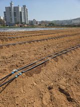 김연숙님의 작성글 사진