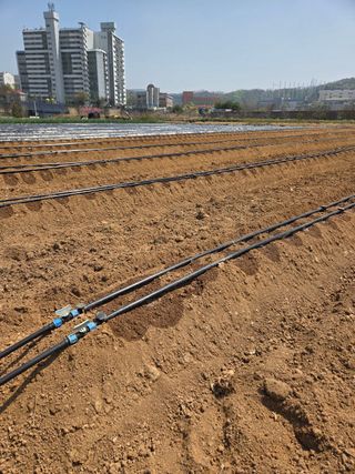 김연숙님의 기타작물 · 영농일지 작성글 사진