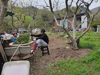 박영애님의 기타작물 · 영농일지 작성글 사진