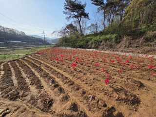 조민서님의 기타작물 · 영농일지 작성글 사진