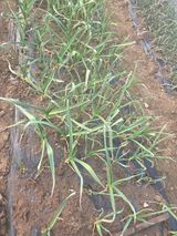 정영순님의 작성글 사진