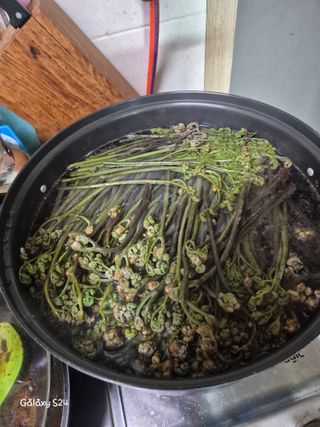 유재환님의 기타작물 · 영농일지 작성글 사진