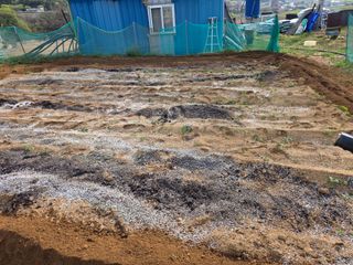 콩7431(팔공산)님의 복숭아 · 영농일지 작성글 사진