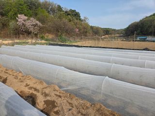 장두학님의 기타작물 · 영농일지 작성글 사진