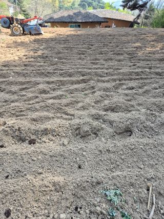 호랑이별님의 기타작물 · 영농일지 작성글 사진